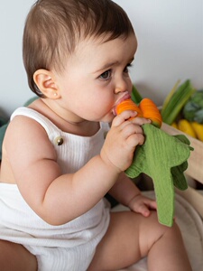 英国代购正品08.07 Cathy the Carrot Mini 卡西胡萝卜可啃咬玩偶