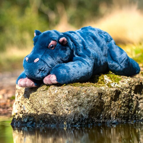 英国代购正品08.07 Aurora Borealis Reggie Hippo 仿真瑞吉河马
