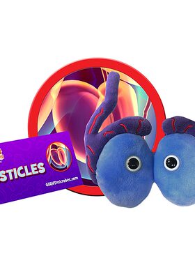英国代购正品02.28 Giant Microbes Testicles 教育辅材 睾丸玩偶