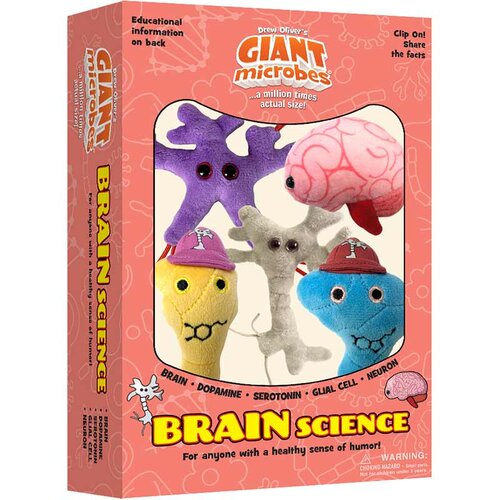 英国代购正品07.13 Brain Science Gift Box 脑科学礼盒 教育辅材