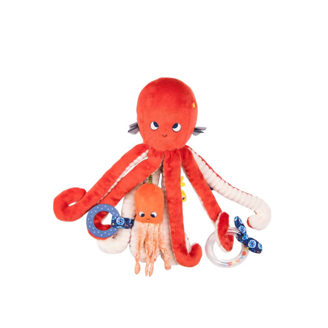 LargeSoftActivityOctopus