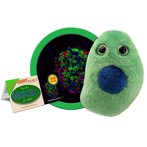 英国代购正品07.13 Diabetes Beta Cell 糖尿病β细胞 教育辅材