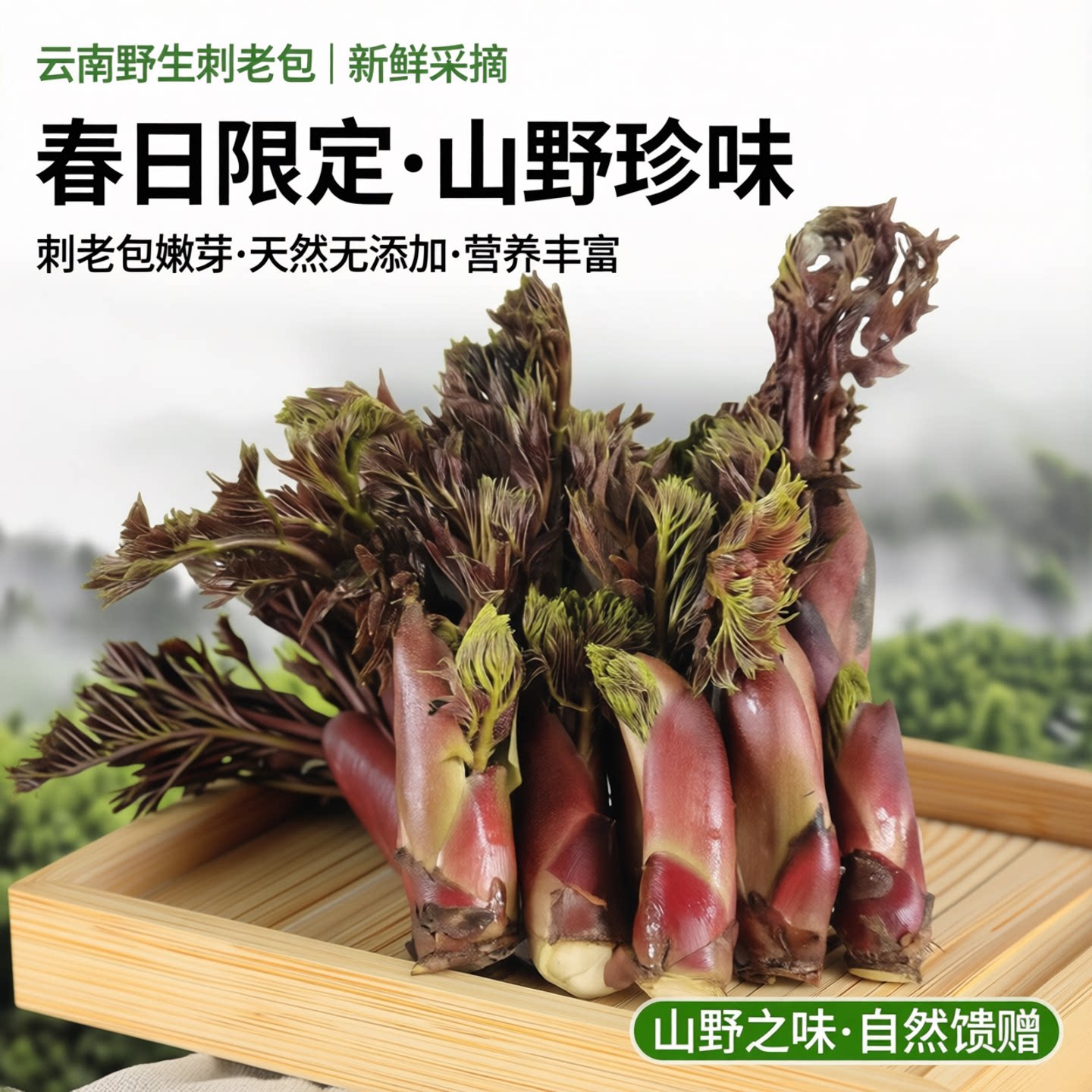 新鲜树头菜刺苞菜刺老芽云南红野生刺老包刺嫩芽刺椿头菜野菜2斤