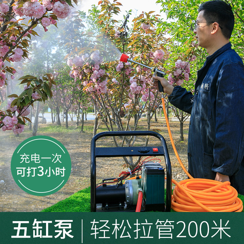 喷雾器 电动农用手提式打药机浇水机洗车机抽水机高压隔膜泵机器