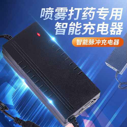 12v电动喷雾器充电器铅酸电瓶