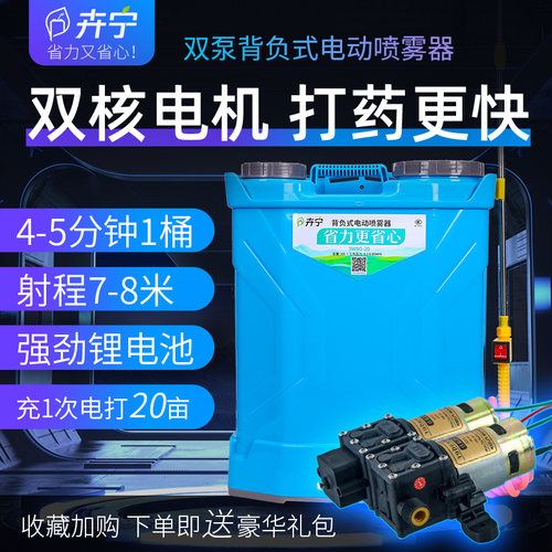 大功率双泵喷雾器农用打农药