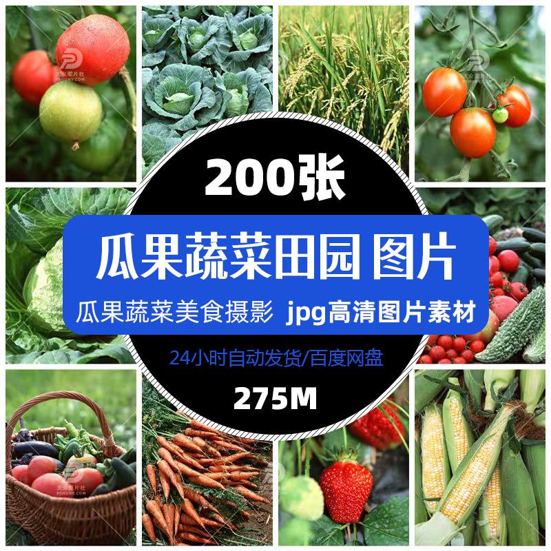 高清三农蔬菜瓜果田园图片模版菜品菜谱促销单张平面设计精选素材