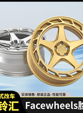 FACEWHEELS脸圈  FW-A1042款定制锻造轮圈一片式用德系日系美系车