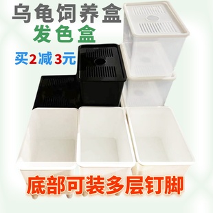 黑白乌龟发色盒带盖叠层多层爬宠虫饲养盒缸鱼龟苗隔离盒鳄龟蛋龟