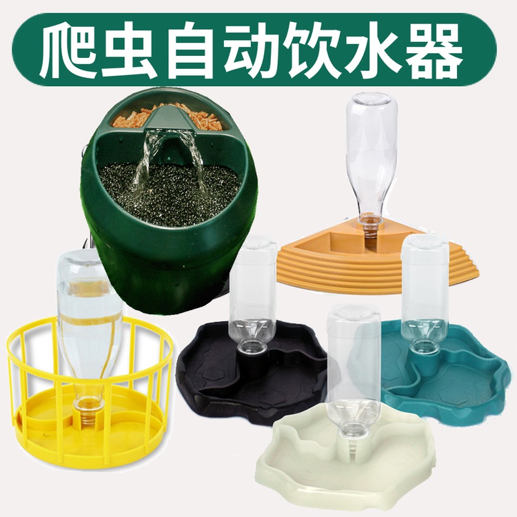 陆龟水盆蜥蜴爬宠爬虫喂食器黄缘自动饮水器喝水蛇半水龟水盘食盆