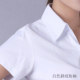 新款 隐条纹白衬衫 职业装 白衬衣办公室面试装 夏季 半袖 女士短袖 正装