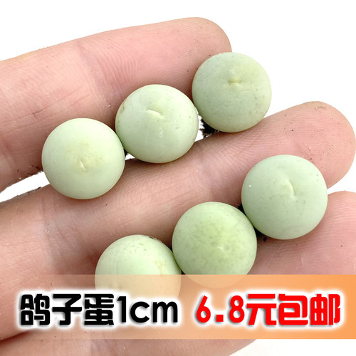 鸽子蛋翡翠玉肉锥多肉植物