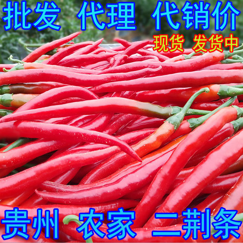 红辣椒 新鲜 贵州 红线椒 二荆条 红色 二金条 二斤条 红椒 海椒