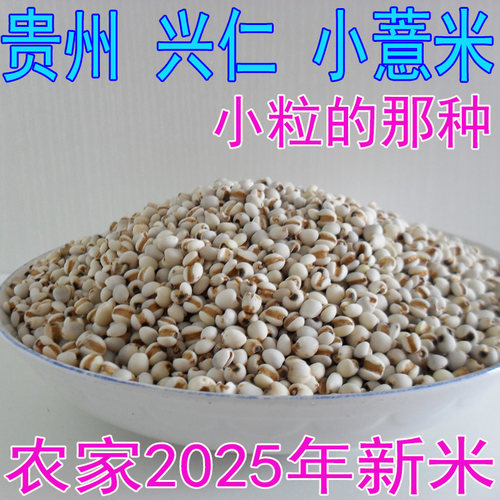 小薏仁米贵州兴仁小粒