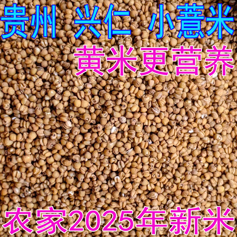 正宗贵州兴仁小薏仁米 黄米 2特色米/面粉/杂粮