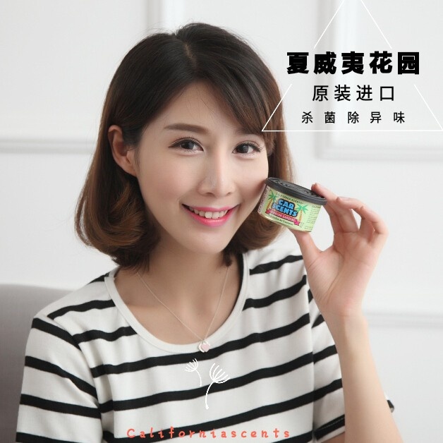 加州净香草香味罐头/空气清新剂/汽车香水/车载净化香膏/夏威夷味