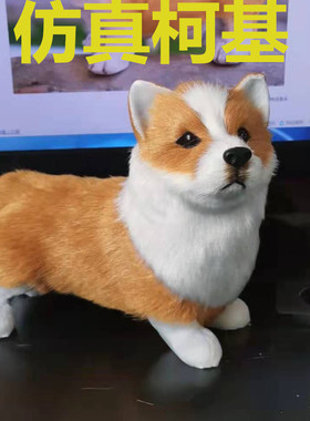 仿真柯基犬仿真玩具动物名犬玩偶家庭摆件皮毛玩具创意摆件名狗