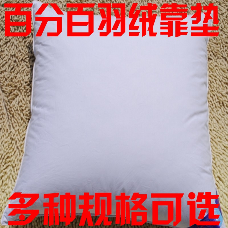 星级超柔软纯棉全棉羽绒靠垫沙发抱枕芯多尺寸40/50/55/60/65/70