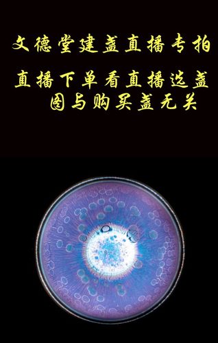 文德堂建盏直播