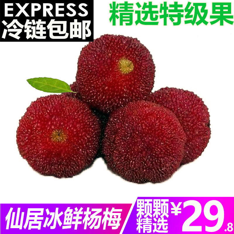 新鲜仙居东魁杨梅冷冻冰冻速冻泡酒3斤包邮孕妇现摘杨梅包邮