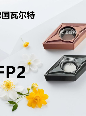 DCGT11T308M-FP2 DCGT11T304M-FP2 WEP10C 瓦尔特WALTER数控刀片