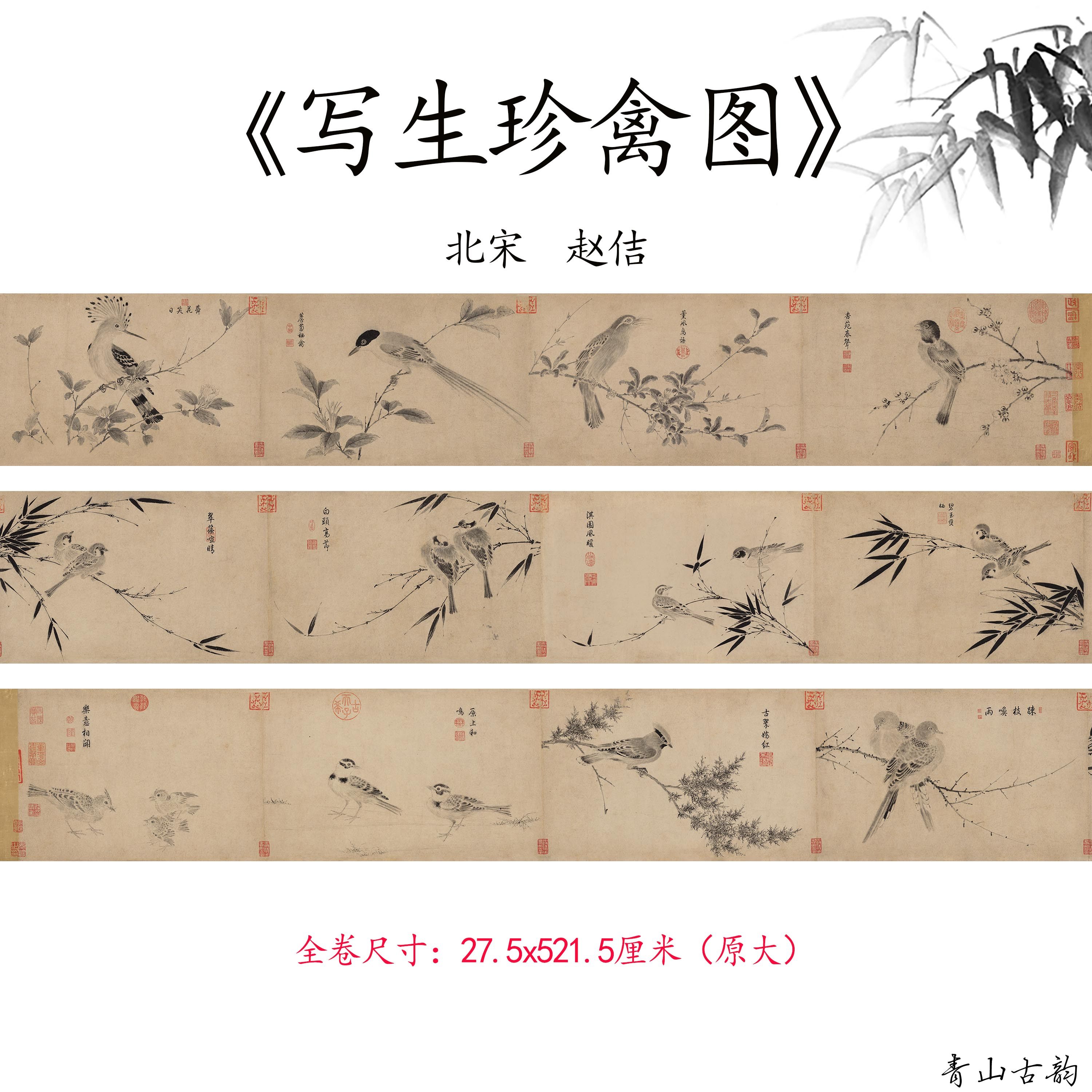 新品1:1北宋 赵佶 写生珍禽图卷宋徽宗工笔花鸟画高清微喷复制品