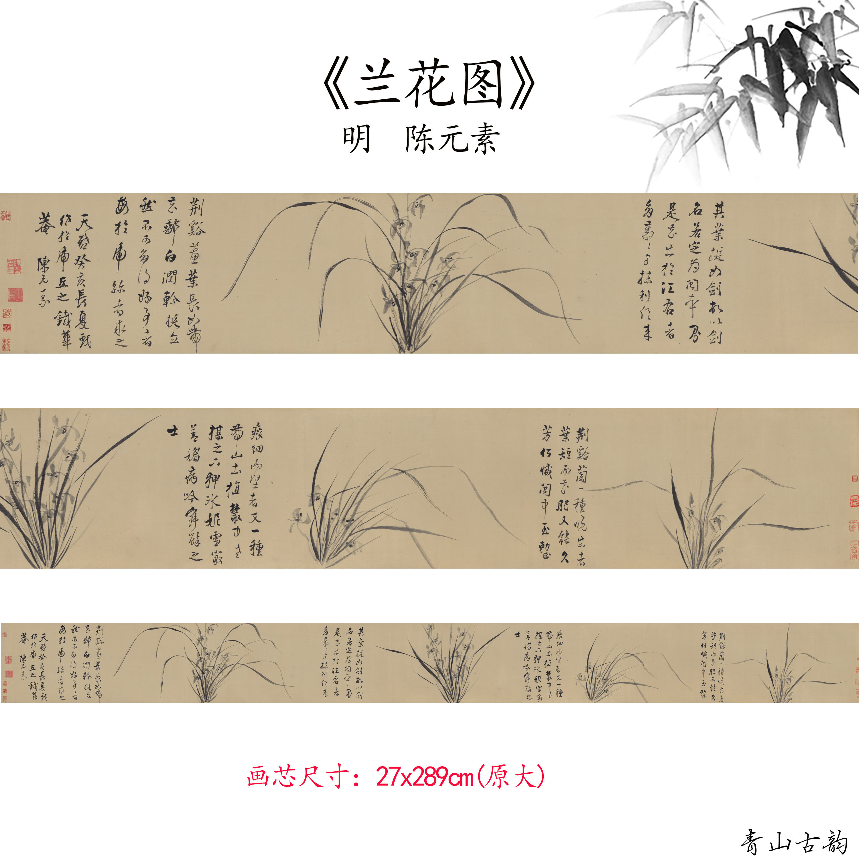 新品1:1元陈元素 兰花图 花卉画卷仿古字画高清微喷复制临摹范本