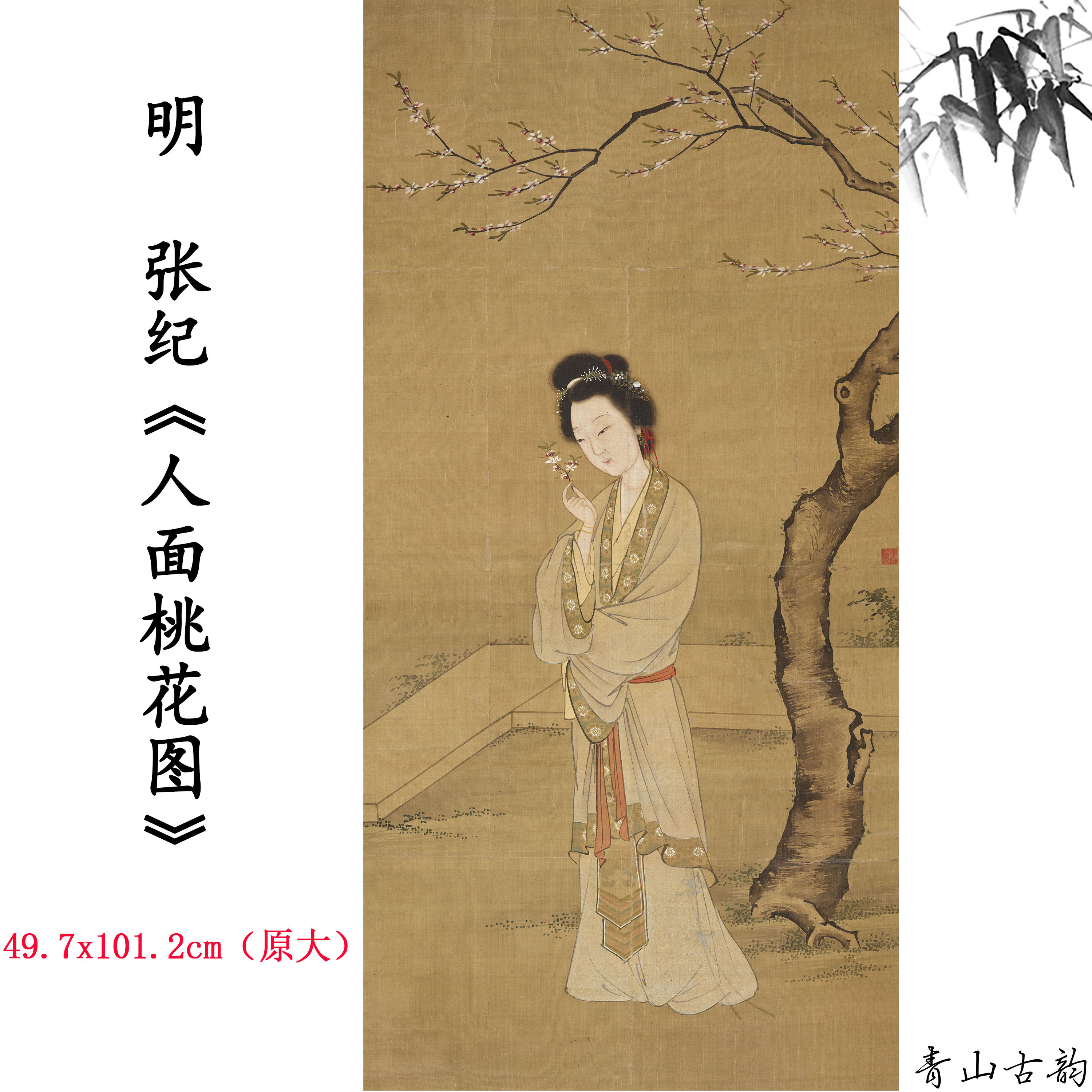 新品明张纪人面桃花画卷仿古