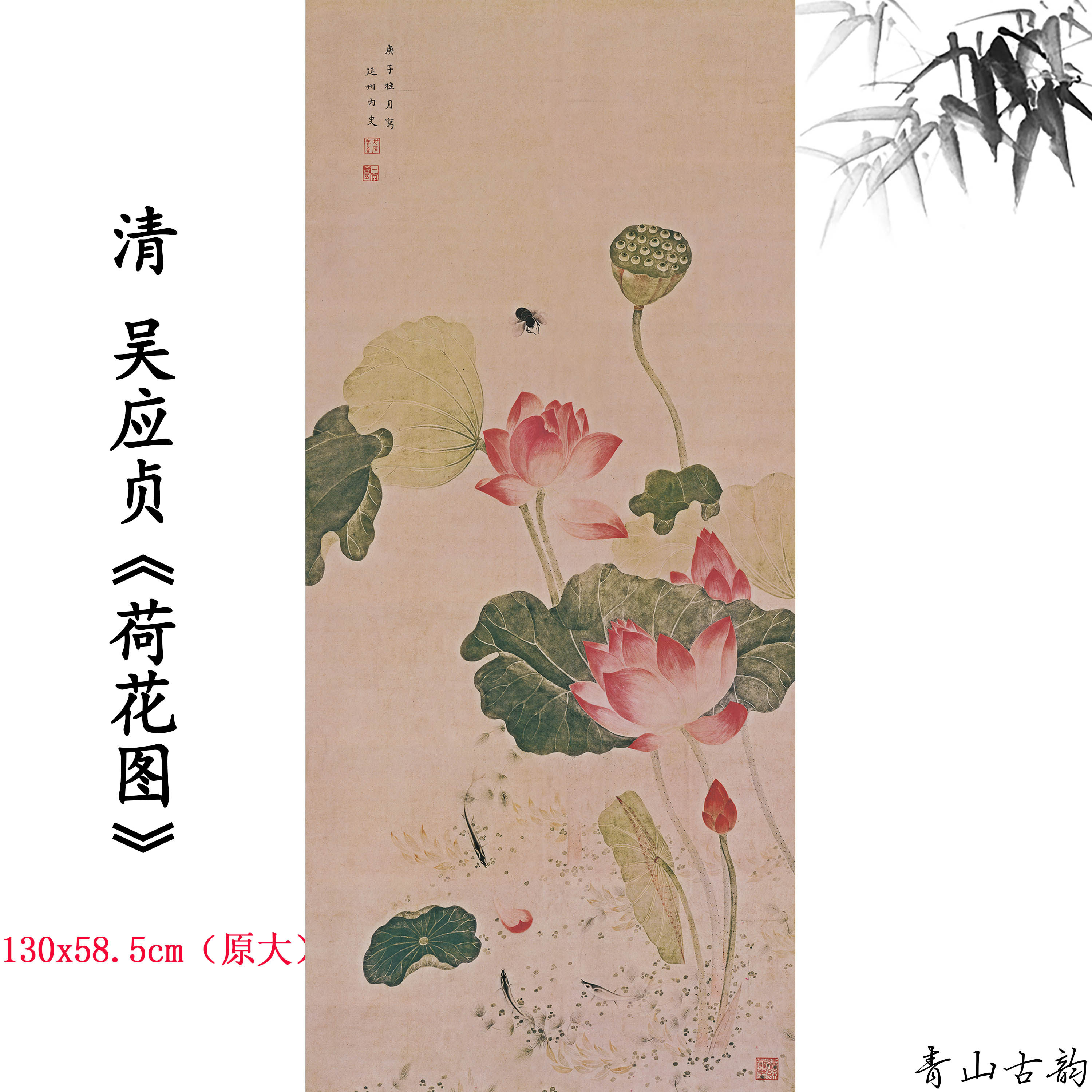 新品1:1清 吴应贞 荷花图轴中式玄关装饰画国画高清微喷复制临摹