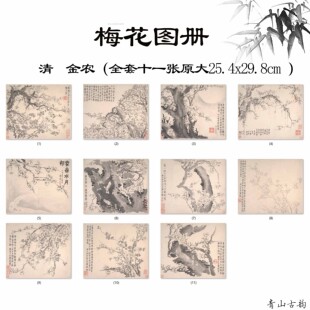1:1清 金农 梅花图册十一张25.4*29.8CM高清微喷古代名画花卉册页