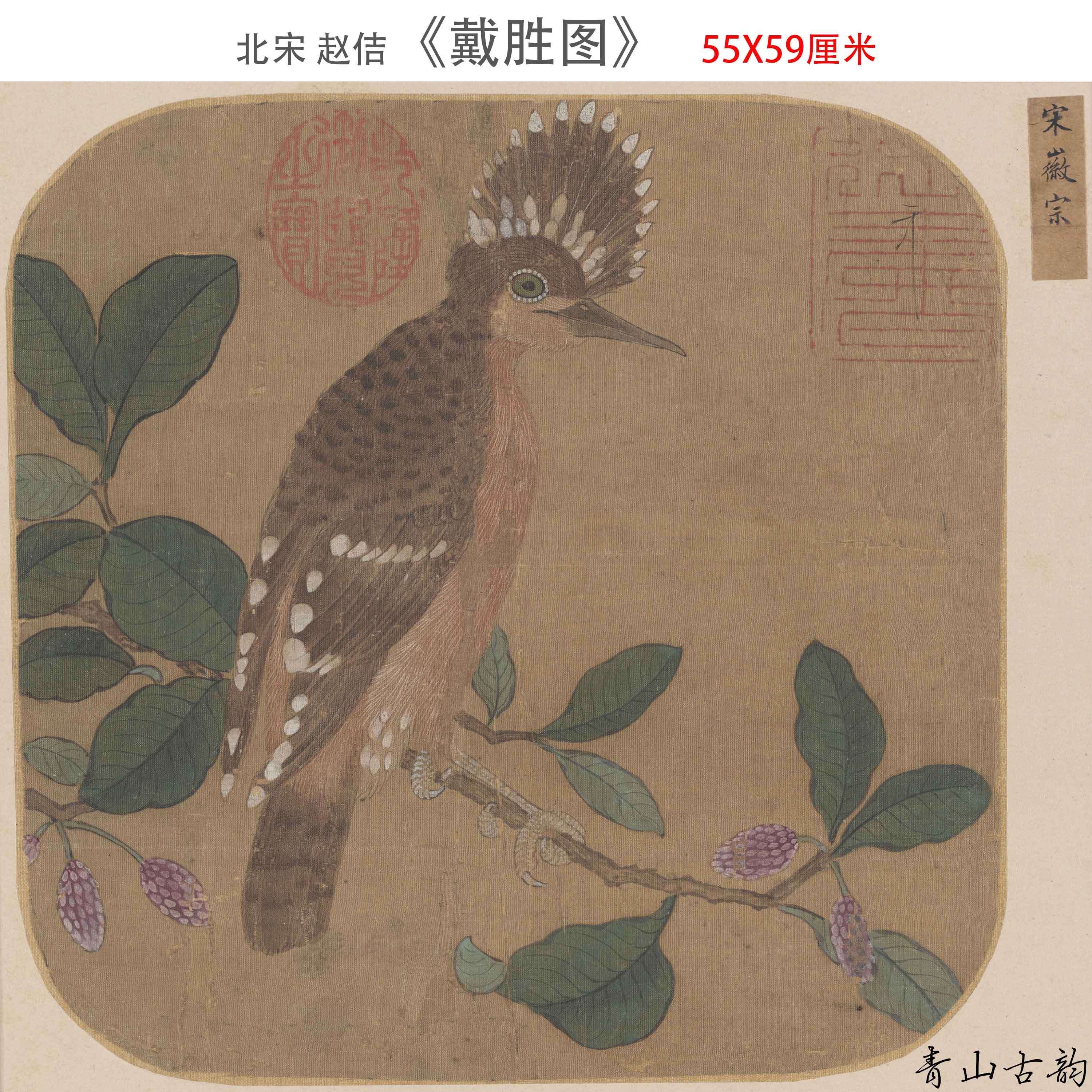 北宋 赵佶 戴胜图55x59cm宋徽宗绢本宋画宋小品花鸟图高清微喷