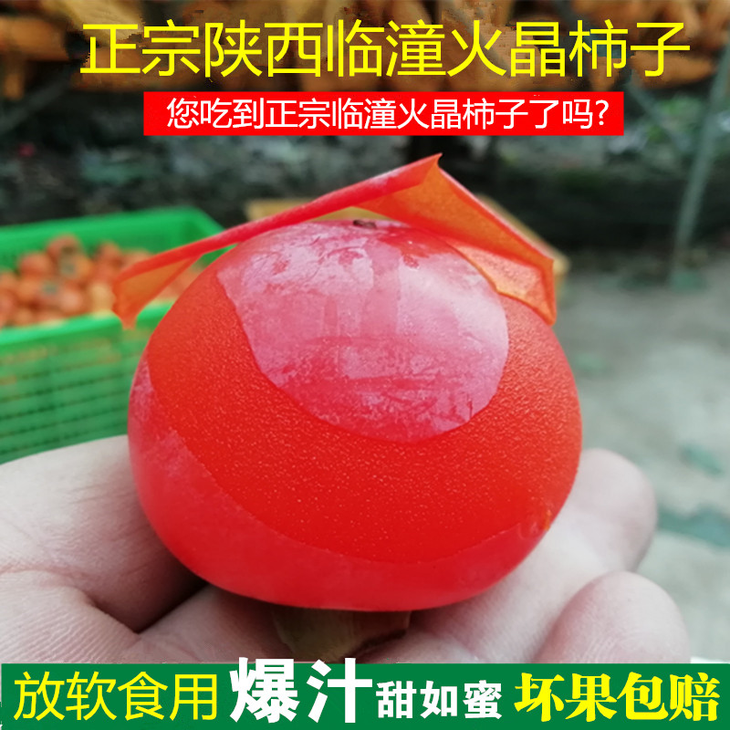 陕西临潼火晶柿子甜如蜜小柿子