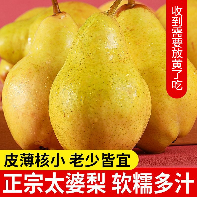 陕西酸甜爆汁太婆梨现摘现发