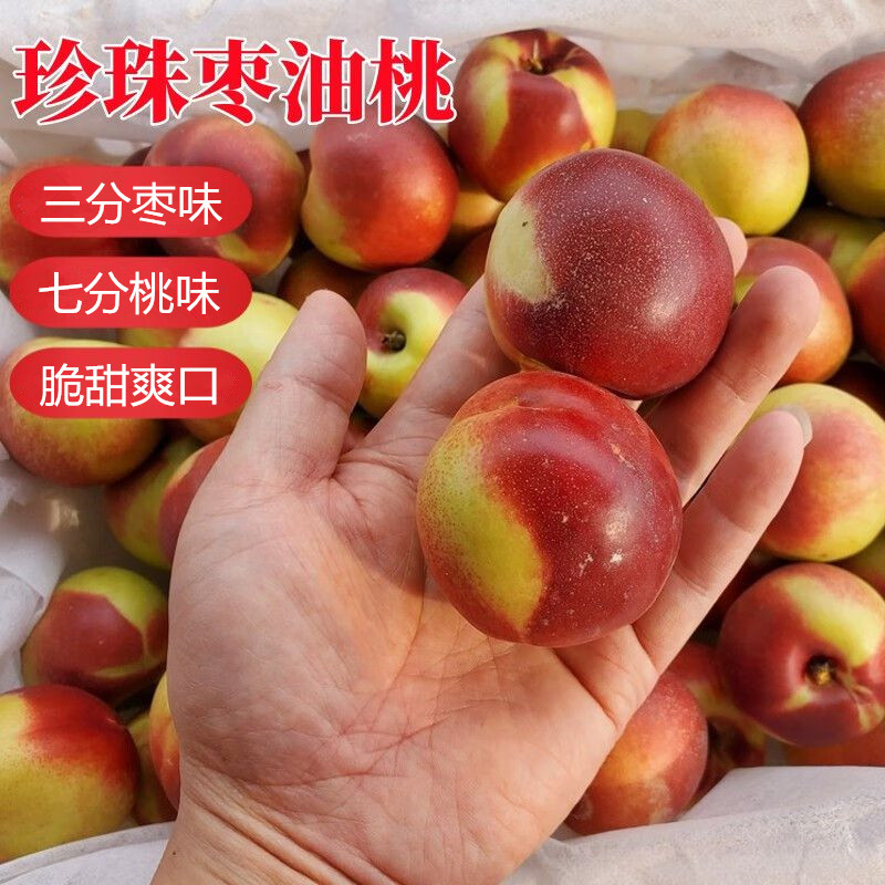 陕西珍珠枣油桃新鲜孕妇水果小桃子当季现摘白肉脆甜桃子整箱包邮