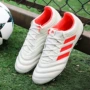 Giày thể thao Adidas Adidas nam 2018 mùa đông giày thể thao mới COPA 19.3 AG giày bóng đá F35776 - Giày bóng đá giày the thao nam