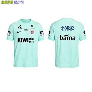 IR8428耐克NIKE高端定制DIY挪威国家队ADV短袖球衣足球比赛训练服