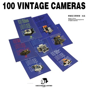 费 维城乱马照相馆宝丽来相机胸针徽章100VintageCameras收藏级 免邮