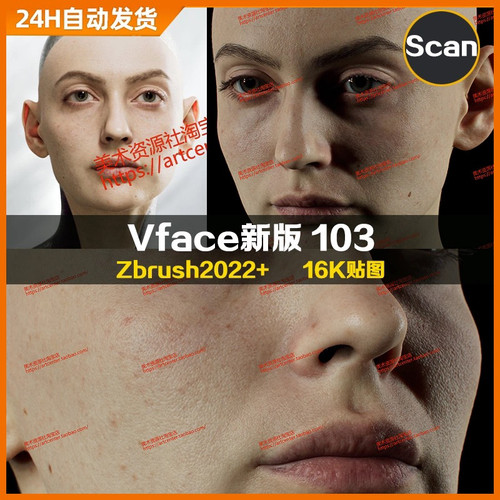 XYZ/Vface新版ZBrush写实高清扫描模型头16K皮肤贴图Dorota103