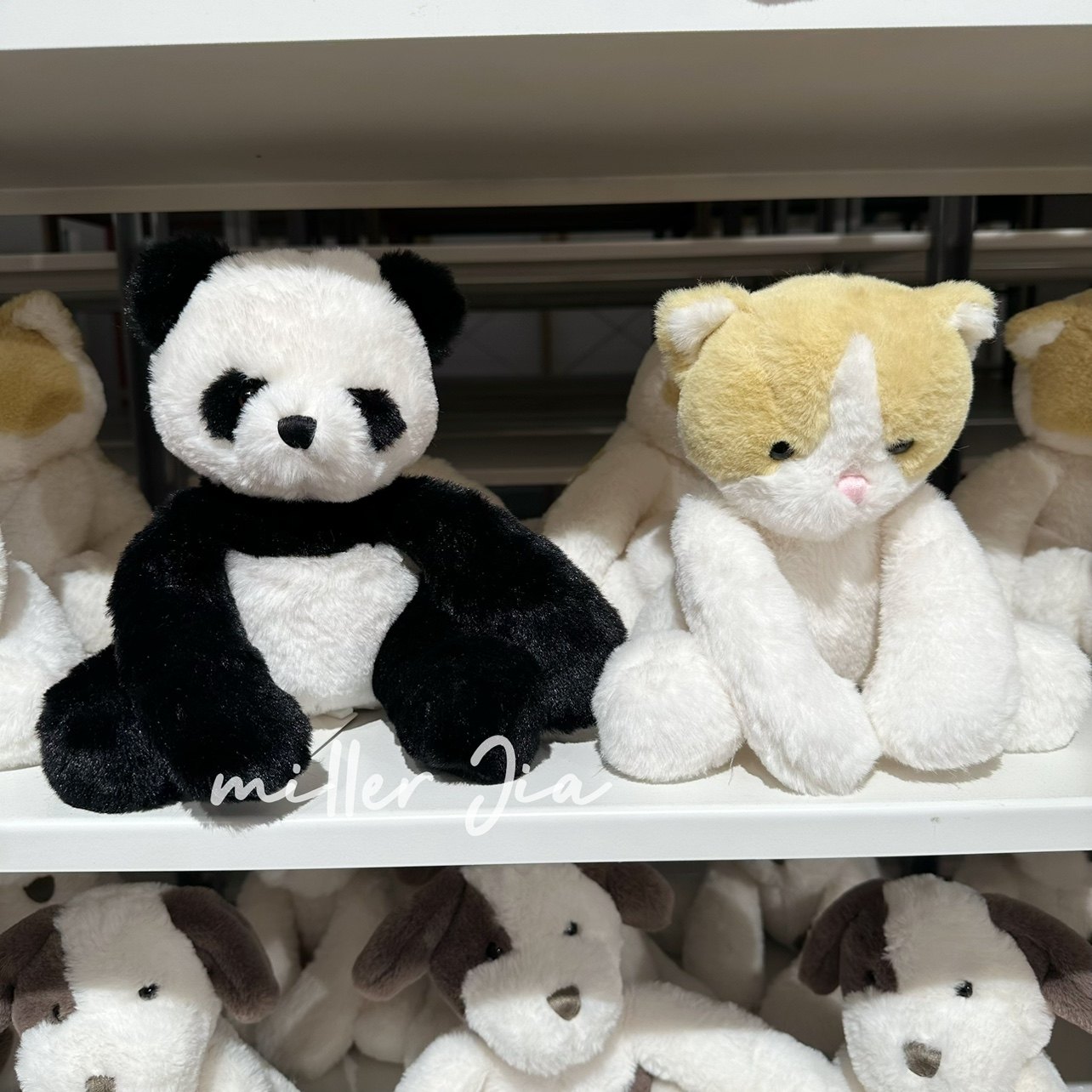 米乐家oce可爱熊猫狐狸小猫咪卡通毛绒玩偶娃娃 抱睡公仔生日礼物