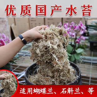國(guó)產(chǎn)水苔腐熟樹(shù)皮智利水苔蝴蝶蘭專用透氣無(wú)土栽培介質(zhì)新西蘭樹(shù)皮
