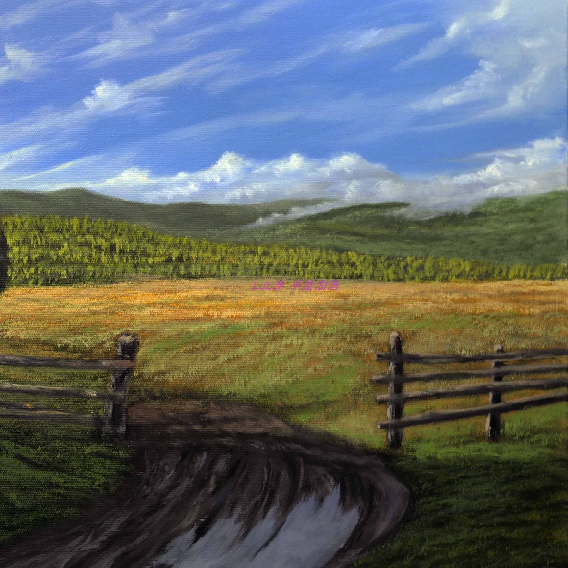 60*80cm 手绘油画   乡村 夏日 草地 云 风景  道路 阳光 ljl涂