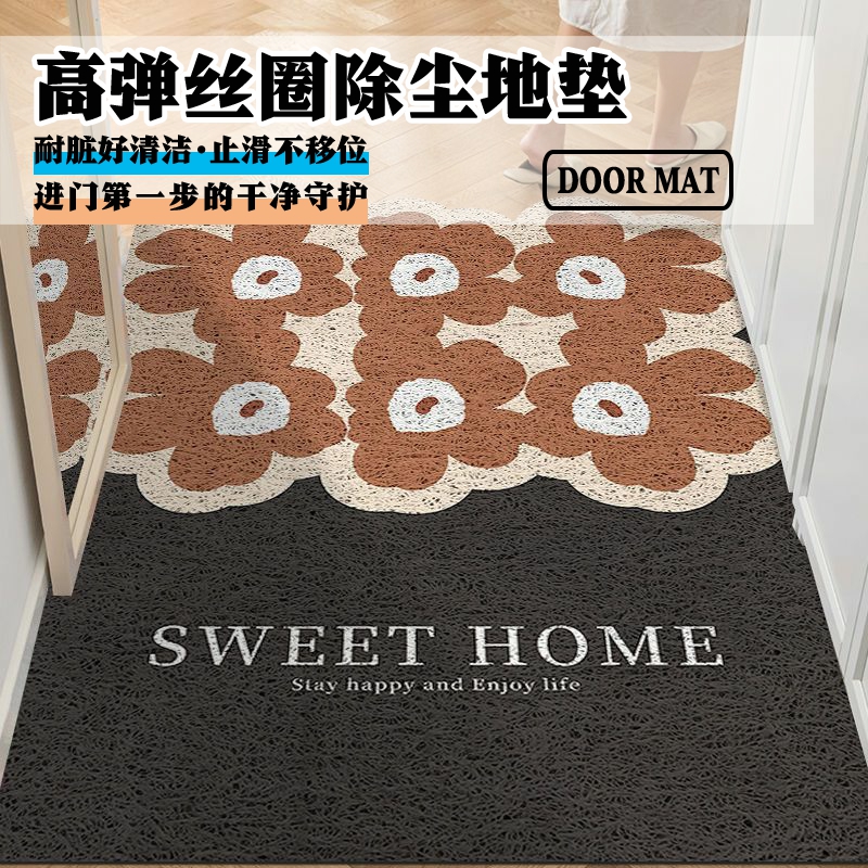 入户门地垫ins风家用丝圈耐脏门垫玄关进门蹭土耐磨脚垫子可裁剪