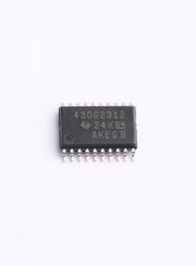 MSP430G2312IPW20R 单片机(MCU/MPU/SOC) 具有 4KB 闪存、256B SR