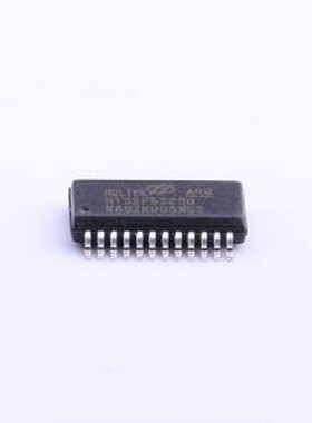 HT32F52230 单片机(MCU/MPU/SOC) HT32F52230 SSOP-24