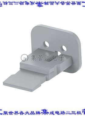 W2SA 连接器配件 副锁