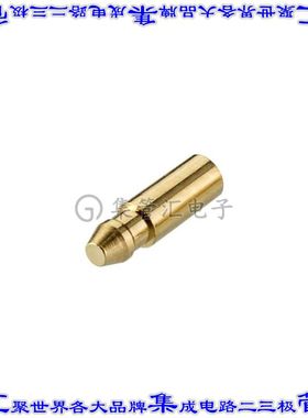 G125-0200005 连接器配件 极化装置