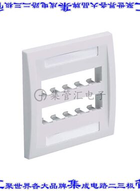 CFPE10IG-2GY 接插件连接器FACEPLATE, 10 PORT, DOUBLE GANG,