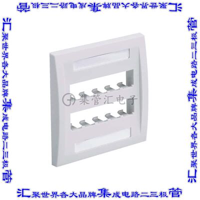 CFPE10IG-2GY 接插件连接器FACEPLATE, 10 PORT, DOUBLE GANG,