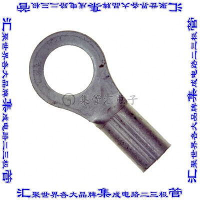 320093 环形连接器端子圆形10接线柱14-16AWG压接
