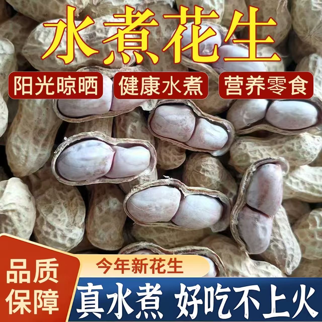 新货福建龙岩水煮白晒花生咸味日晒干带壳花生坚果年货休闲零食品